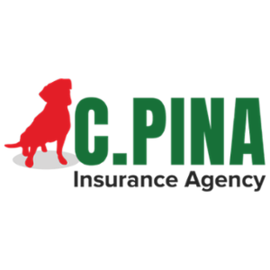 C Pina Insurance Agency